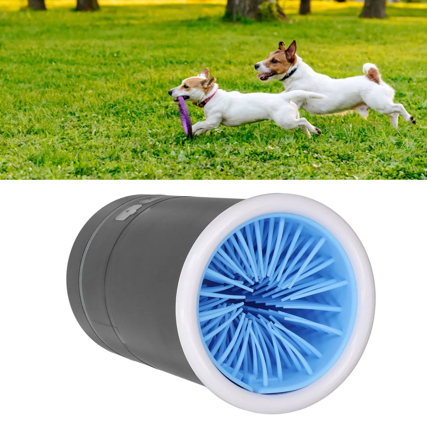 PootReiniger Pro