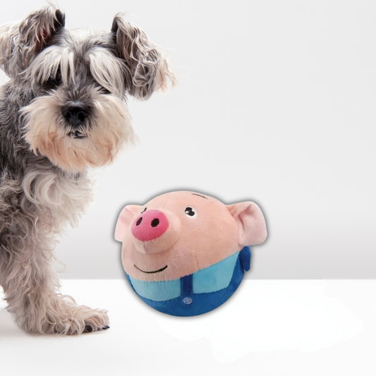 PlayBuddy™ Interactieve Pluche Bal